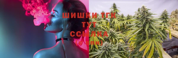 ГАЛЛЮЦИНОГЕННЫЕ ГРИБЫ Абаза