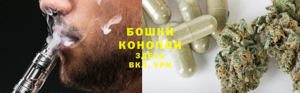 PSILOCYBIN Абдулино