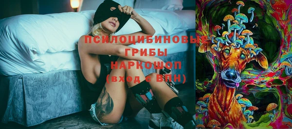ГАЛЛЮЦИНОГЕННЫЕ ГРИБЫ Абаза