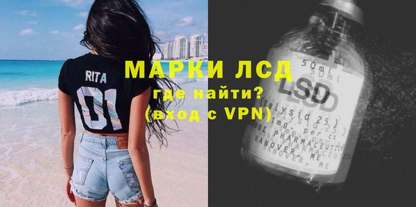 ГАЛЛЮЦИНОГЕННЫЕ ГРИБЫ Абаза