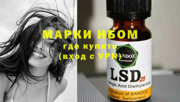 ГАЛЛЮЦИНОГЕННЫЕ ГРИБЫ Абаза