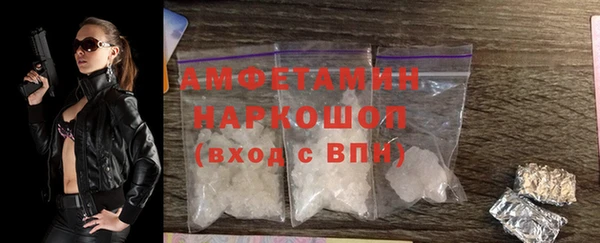 ГАЛЛЮЦИНОГЕННЫЕ ГРИБЫ Абаза