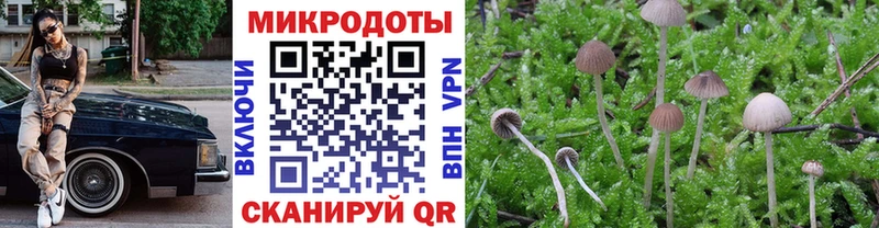 купить наркоту  Арсеньев  KRAKEN как зайти  Псилоцибиновые грибы мухоморы 